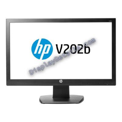 HP V202b 400x400 Image